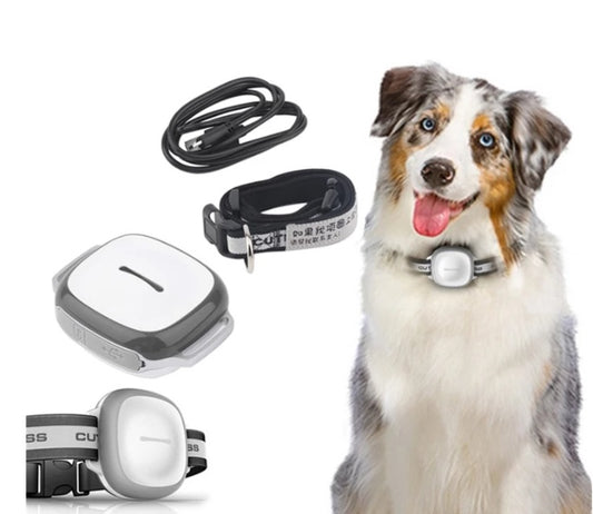 Collared Cat Dog Tracker Pet Locator Pet